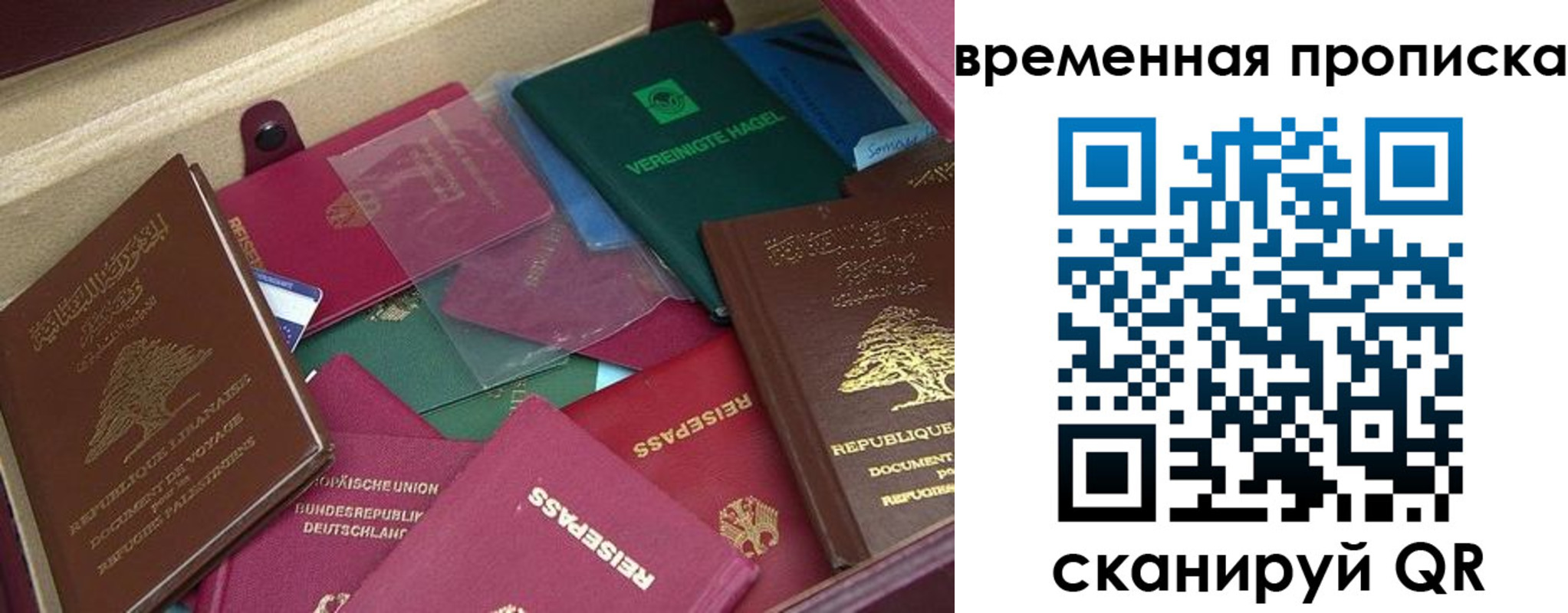 прописка в Плавске